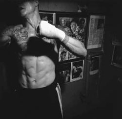 photo of boxer