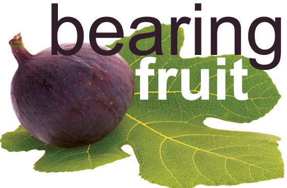 bearing fruit